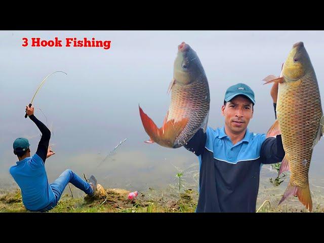 Big Rohu Fishing Videos | Village Hook Fishing Video | Desi Fish Catching Video | 3Hook Fishing