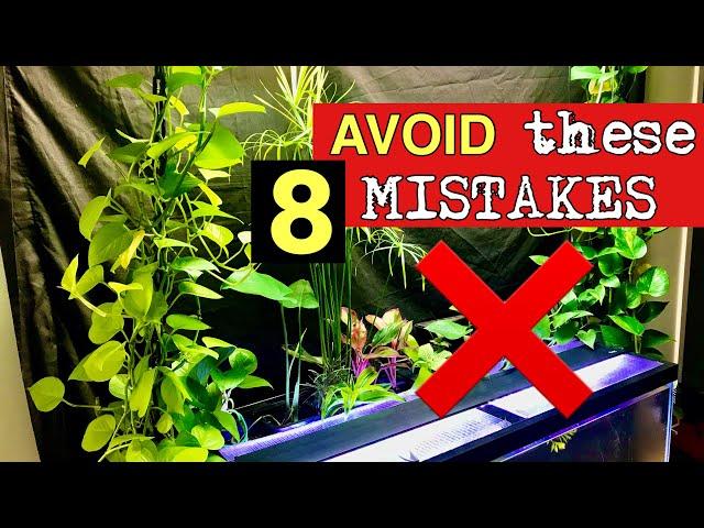 8 Riparium MISTAKES to Avoid!- For BEGINNERS growing POTHOS, MONSTERA and more in a Fish Tank