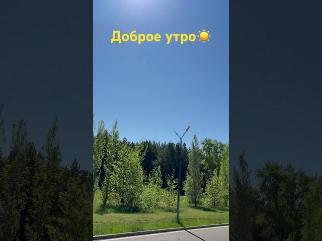 #какпрекрасенэтотмир #доброеутро #мотивациядня #позитив #красота #shorts