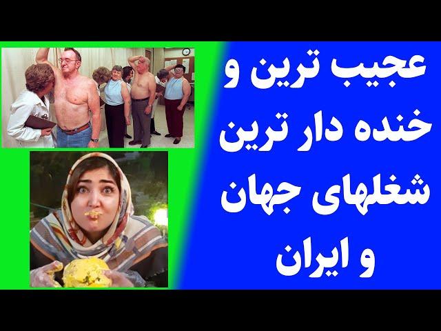 خنده دارترین و عجیب ترین شغلهای ایران و جهان با درآمدهای بالا