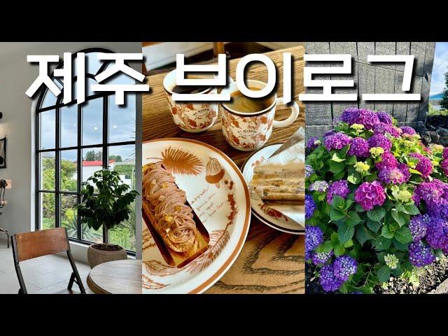 vlog 제주 브이로그 | 제주 감성스테이| 카페, 맛집 다 성공적🪻(땡큐드라이버스테이, 마마롱, 크래커스커피, 메종노트르테르, 유동룡미술관)