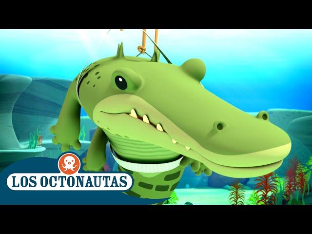 Los Octonautas - El cocodrilo de agua salada | Episodios Completos