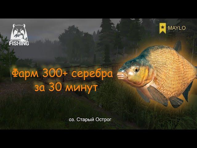 Фарм серебра Лещ оз. Старый Острог | Русская Рыбалка 4 | РР4 MAYLO