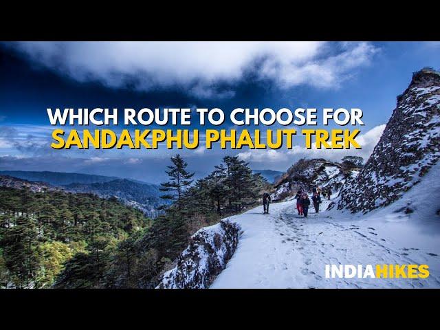 Sandakphu Trek Route: Why Do Sandakphu-Phalut Trek From Sepi | Indiahikes