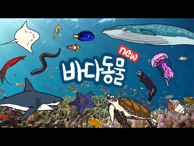 NEW 바다동물 |  바닷속에는 어떤 친구들이 살고 있을까? | 다양한 종류의 바다생물을 만나보아요 | 저자극 유아영상 | 키즈드로우