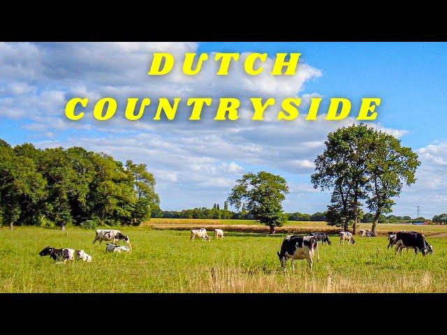 Visiting the Dutch countryside helped me reset, refresh & relax