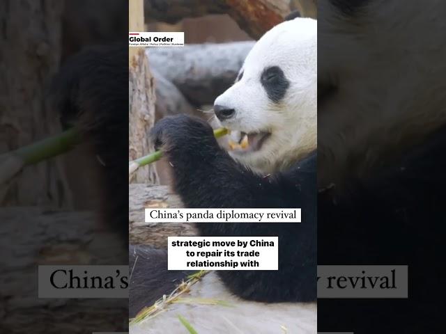 China’s panda diplomacy revival #panda #china #shortsviral #youtube #diplomacy