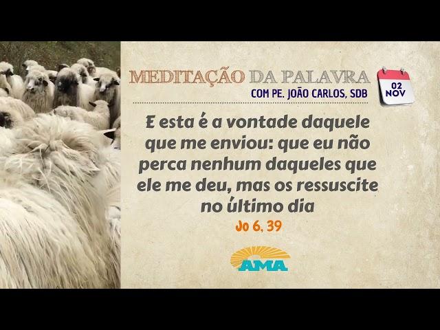 02 de Novembro - Meditação da Palavra do Senhor