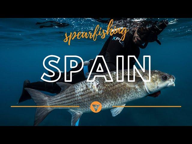 Shallow Spearfishing In Spain