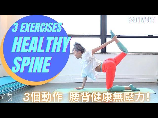 3個腰背伸展拉筋動作 預防腰背痛｜伸展治療 Stretch Therapy｜CZON