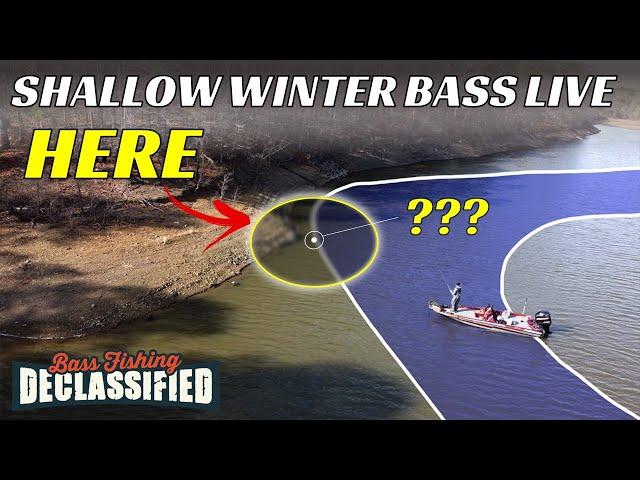 This Shallow Water Area Holds BIG BASS All Winter Long