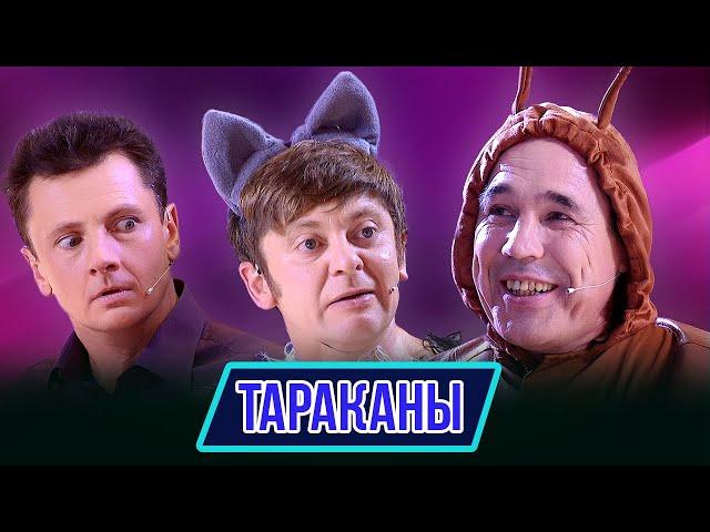 Номер Тараканы - Концерт Корпорация морсов 2