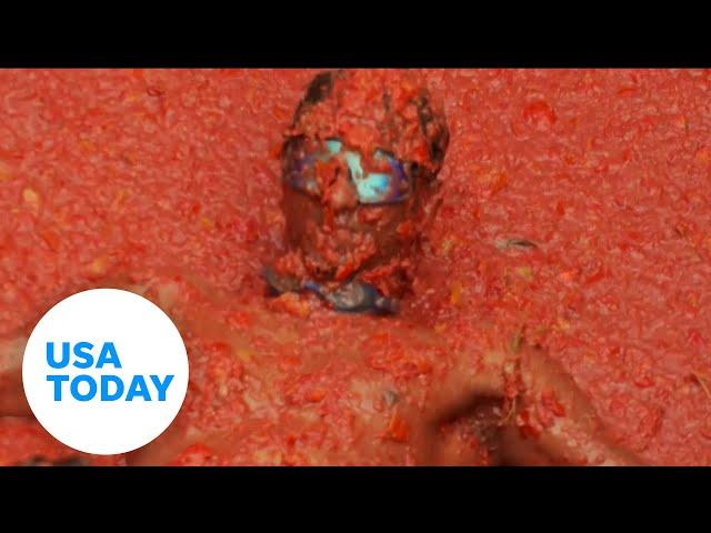 Thousands throw tomatoes at each other in La Tomatina festival | USA TODAY