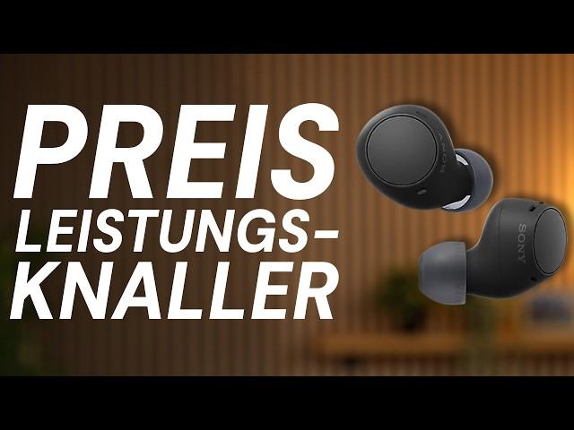 Sony WF-C510 im Test: Nur ~50€ für richtig gute In-Ears!