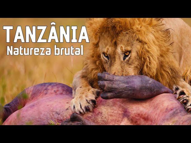 TANZÂNIA SELVAGEM | Natureza impiedosa e tribos ancestrais