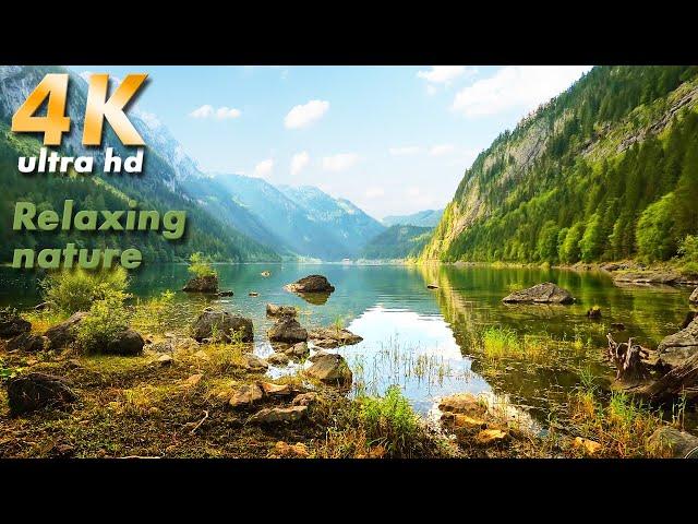 RELAXING 4K virtual walk, Nature sounds for WORK, SLEEP, STUDY. Gosausee Lake. ASTONISHING NATURE.