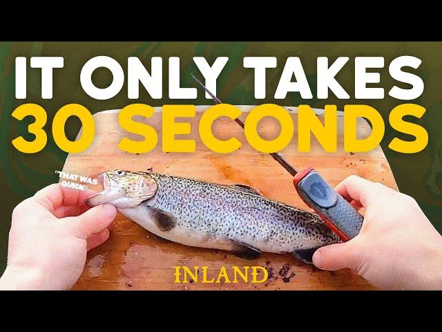 Our Favorite Way to Fillet a Trout (30 Seconds) | Kyle Veit | Inland Outdoors #trout #fillet