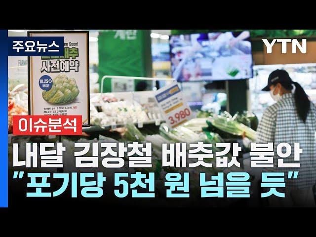 [스타트경제] 11월 김장철 배춧값 불안..."포기당 첫 5천 원 돌파" / YTN