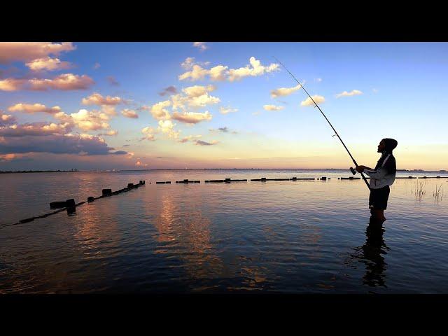 Jamaica Bay Fishing - NORTHERN KINGFISH - Floyd Bennett Field Brooklyn New York