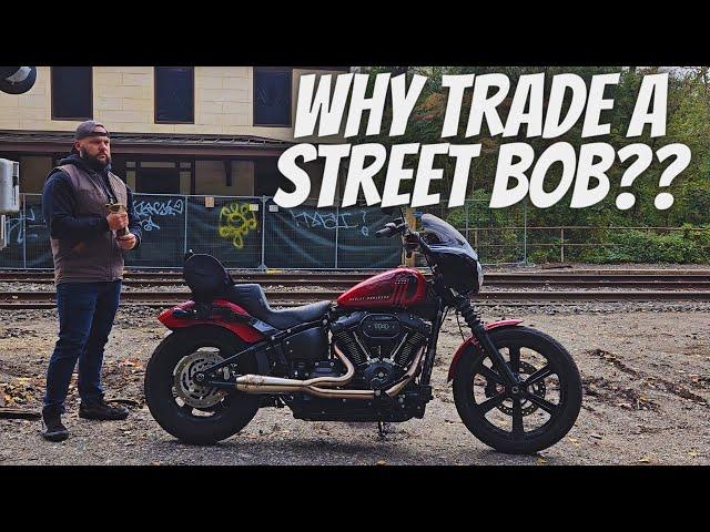 IS The Harley Street Bob The NEW Harley Sportster!??