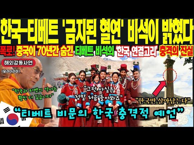 [해외감동사연] "이 비석이 절대 공개되선 안 돼!" 중국 정부가 숨기려한 1300년 전 증거 '방건의 맹기', 티벳-신라-고구려-발해의 천년동맹의 비밀! 충격적 역사 폭로