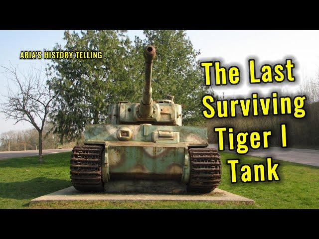 Last Surviving Tiger Tank: Abandoned German WW2 Tank of Normandy #WW2History#TigerTank