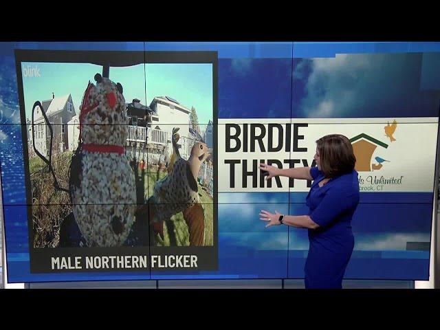 Birdie Thirty: Eyewitness News at 5:30am on 11-23-2024