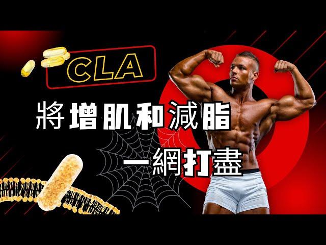 瘦身、增肌一箭雙雕，CLA 效應！