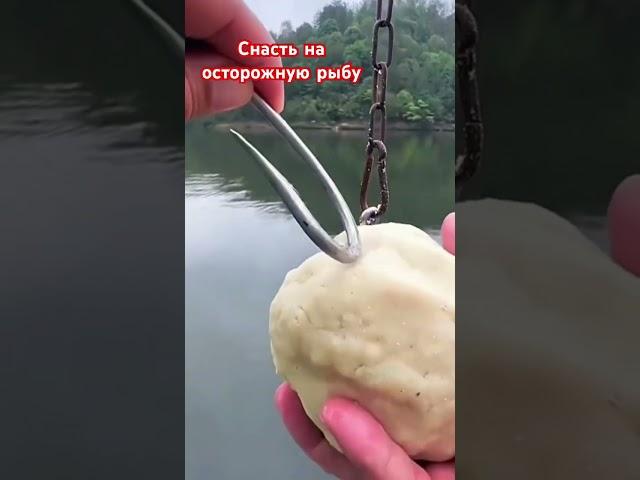 Снасть на осторожную рыбу #рибалка #карп #carpfish #fish #рыбалка #карась #удочка #shorts #short