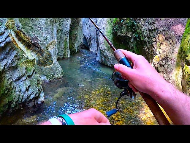 Wild Creek Fishing Adventure! Trout Fishing in Italy and a RARE ENCOUNTER