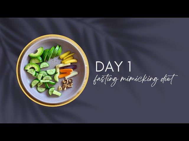 DAY 1 | Fasting Mimicking Diet DIY