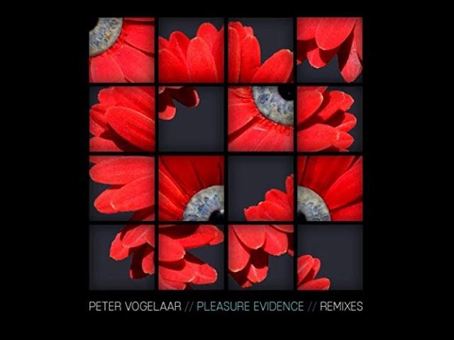 Peter Vogelaar- Pleasure Evidence (White Label DJ's Remix)