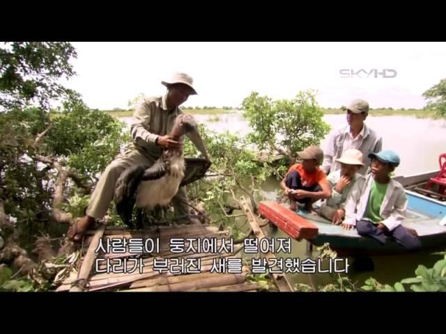 메콩강의 전설 - 캄보디아.HDTV.XviD - free go^^