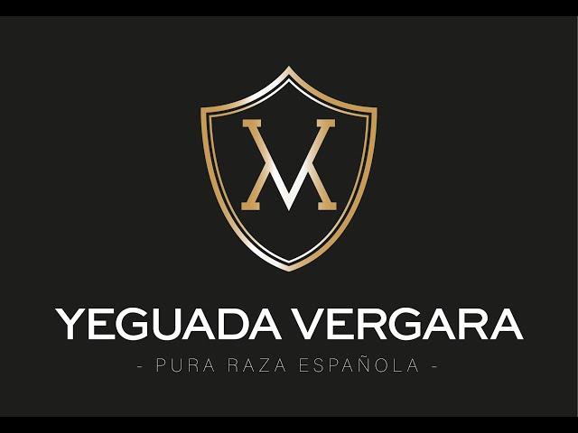 YEGUADA VERGARA