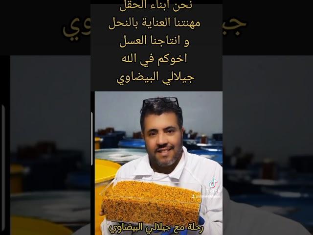 جيلالي البيضاوي