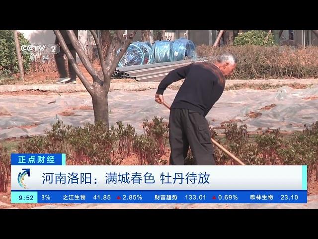 [正点财经]湖南邵阳：千亩樱花如云似霞|CCTV财经