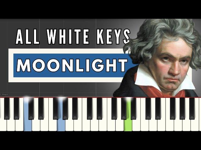 Moonlight Sonata 9th Movement | Beethoven | ALL WHITE KEYS | Easy Piano Tutorial