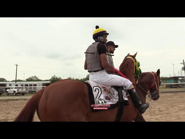 HIT 14 LA PIÑITA CUADRA NOGALES EL YANKEE CUADRA TEXANO LA FLECHA CUADRA TG