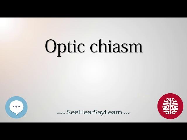 Optic chiasm   Anatomy of the Brain   SeeHearSayLearn 