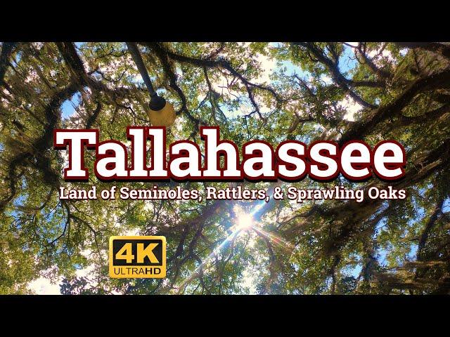 Tallahassee  - Land of Seminoles, Rattlers, and Sprawling Oaks