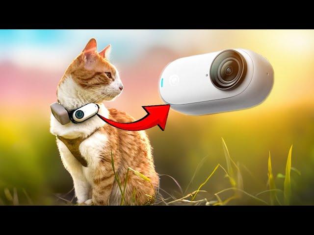 My CAT has a CAMERA | Cat Vlog part #06