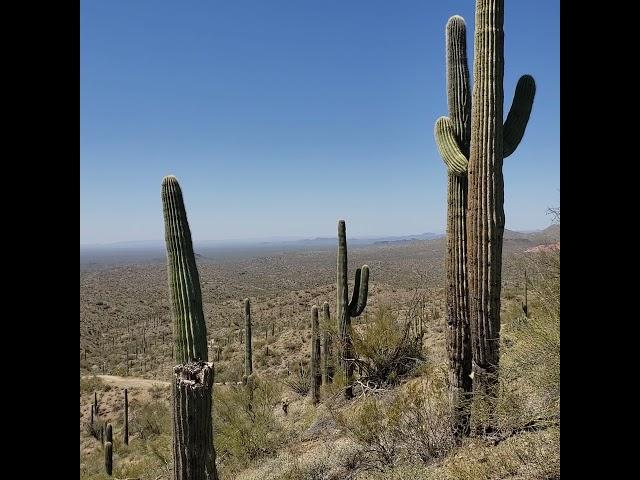 AZ ATV Tours Arizona 2021