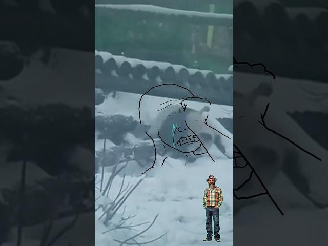 #смех Зухрей Пердолобов и панда  Катюша