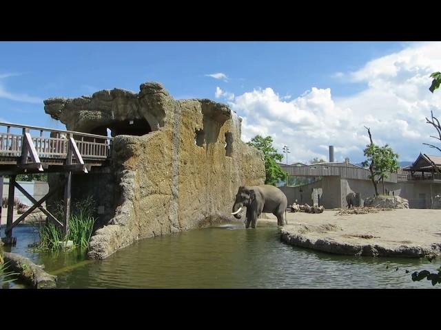 Zoo Rapperswil