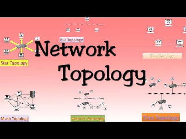Network topologies ( Bus, Star, Ring, Mess, Tree, Hybrid Topologies )