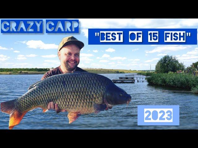 Змагання Crazy Carp "Best of 15 Fish" - Крута Балка 2023! Ловимо трофейного карпа!