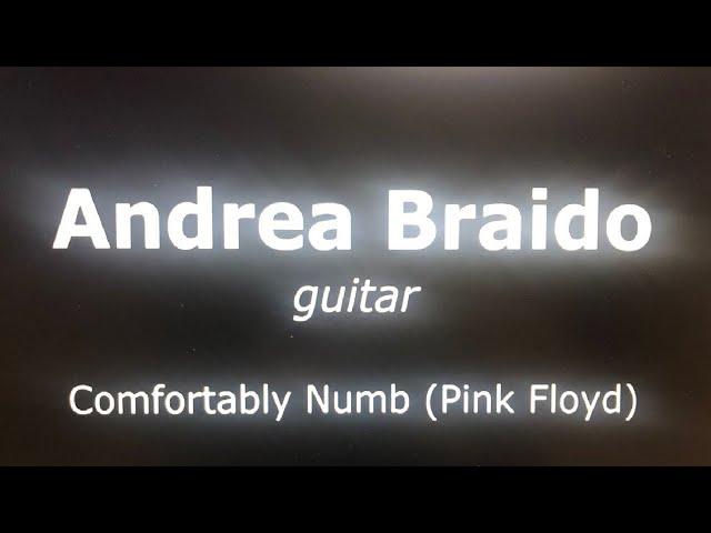 Andrea Braido - Comfortably Numb (Pink Floyd)