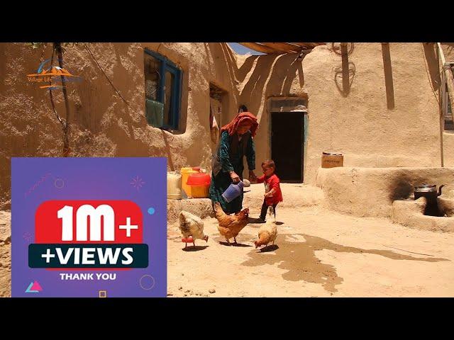 Daily Routine Village Life Afghanistan Bamyan | Village Life Afghanistan