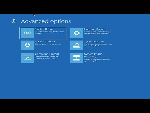 Windows 11 Blue Screen Error Critical Process Died FIX {Complete Solution]