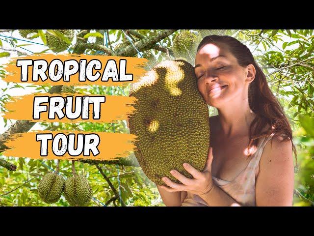 Rare Tropical Fruit Farm Tour in Costa Rica with Paul Zink